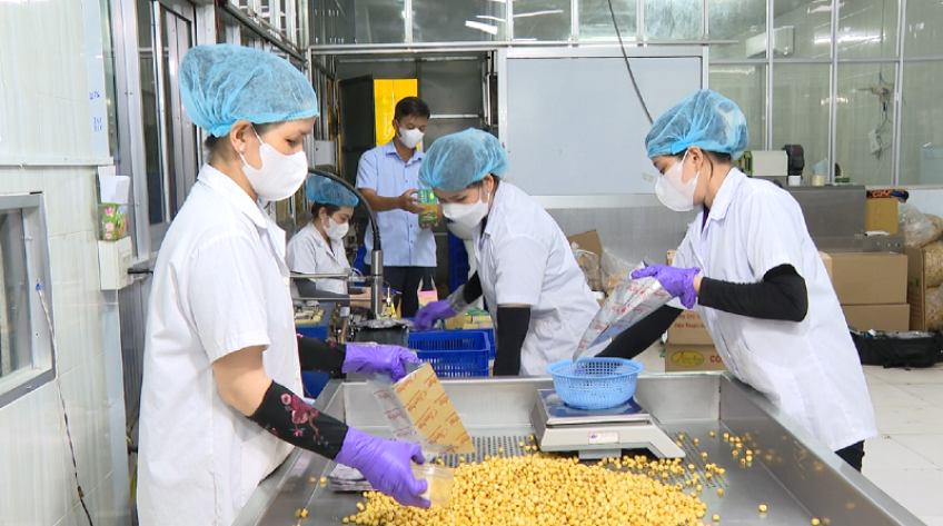 Tiềm năng xuất khẩu các sản phẩm chế biến từ sen