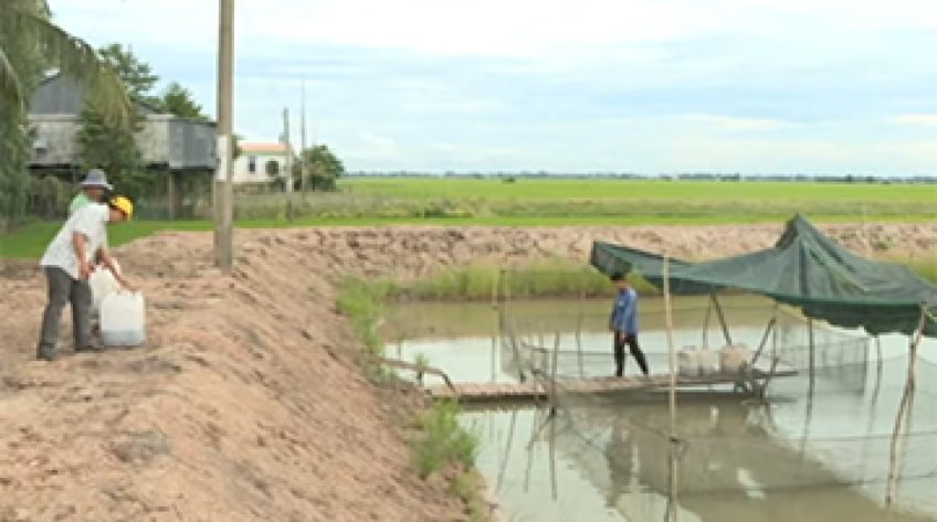 Dự án WB9 chuyển đổi sinh kế hiệu quả