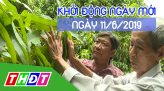 Nhịp sống 24h - Thứ Tư, 12/6/2019