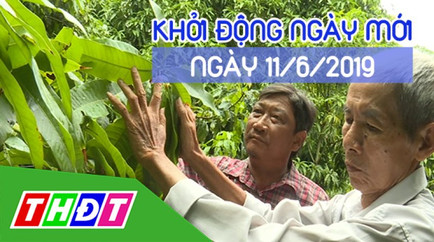 Khởi động ngày mới, Thứ Ba - 11/6/2019