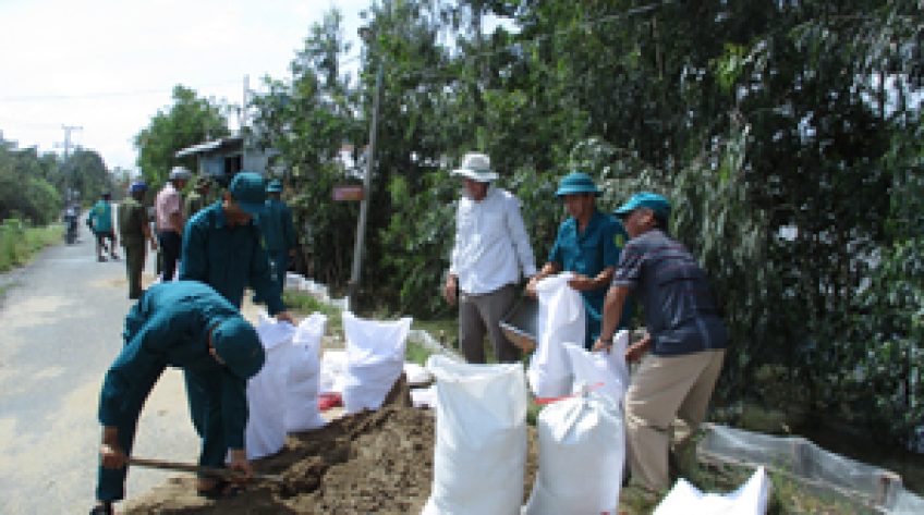 Tập trung gia cố đê trước áp lực nước