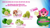 Tạp chí thể thao - 12/9/2021: Đội xe đạp thể thao Đồng Tháp tập luyện trong mùa dịch