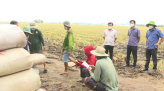 Bản tin Covid-19 tỉnh Đồng Tháp sáng 12/9/2021