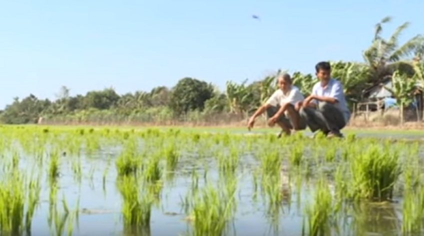 Chuyện giảm giá thành và lợi nhuận