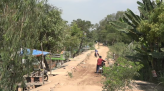 Vận chuyển lúa từ Campuchia về phải đảm bảo phòng, chống dịch