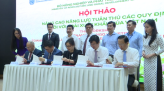 Chuyên gia bày cách đưa xoài Việt ra thế giới