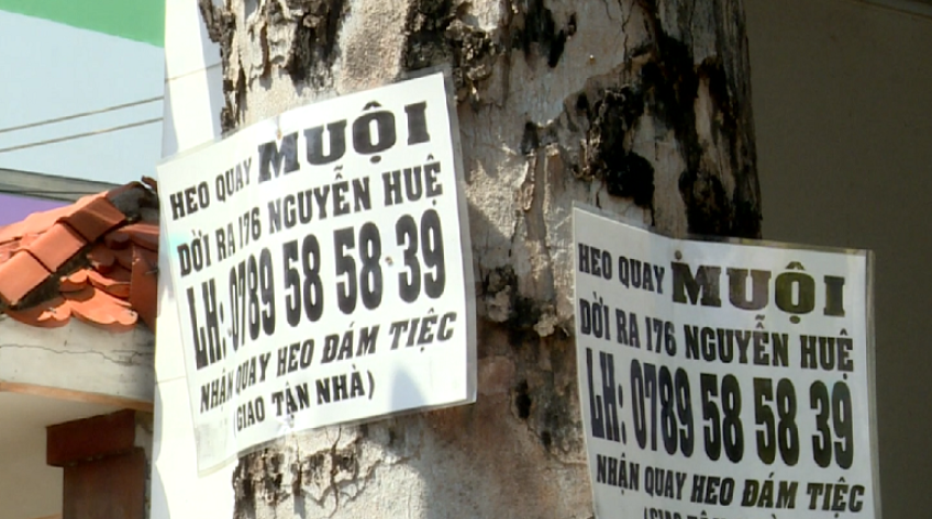 Bức tử cây xanh ở TP.Cao Lãnh