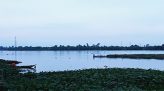 An Giang khởi tố vụ án làm lây lan dịch Covid-19 liên quan tài xế chở cá