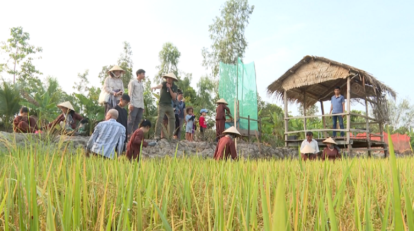 Mùa hè gần với thiên nhiên của các bạn nhỏ