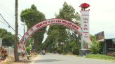 Tri thức trẻ về với ruộng vườn