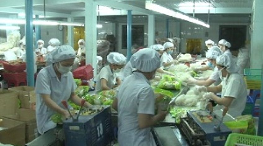 98% công nhân khu công nghiệp trở lại làm việc