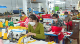 Thúc đẩy hữu cơ để tạo lập môi trường an toàn cho sếu