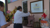 Lễ hội Xoài Cao Lãnh quy mô cấp huyện sẽ diễn ra vào tháng Bảy