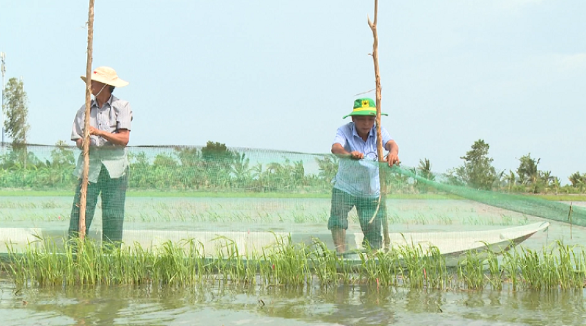 Trữ cá đồng, mô hình thuận thiên mùa nước nổi