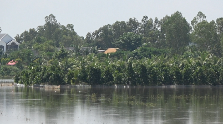 Nước cao, mâu thuẫn ruộng vườn lại tái hiện