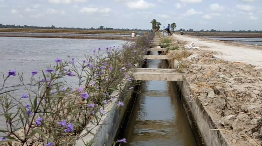 Đồng Tháp góp phần vào mục tiêu giảm phát thải khí nhà kính