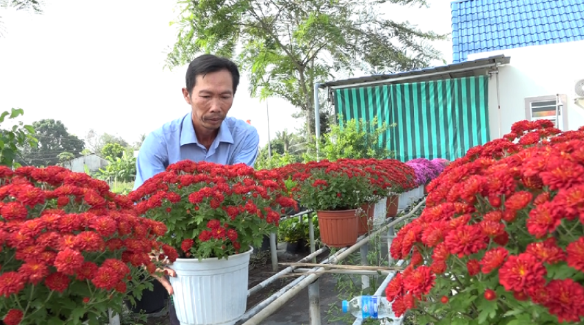 Hoa Sa Đéc xuất giàn đón Tết