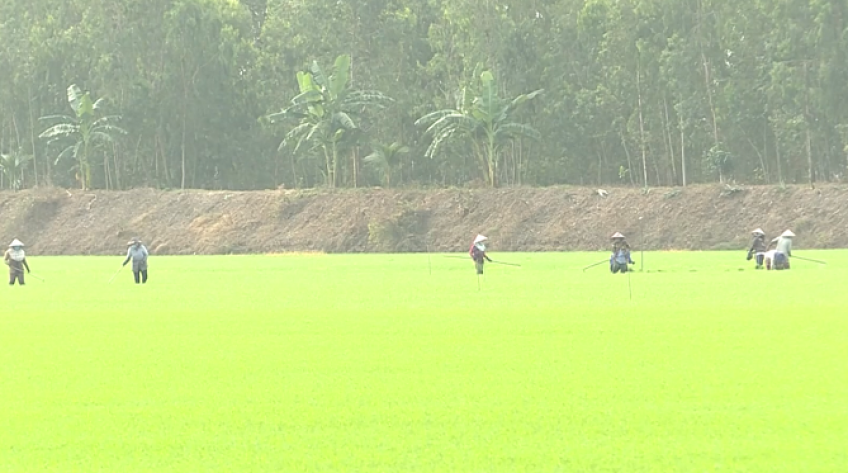 Dự thảo Luật đất đai sửa đổi: Tạo thuận lợi cho tập trung, tích tụ đất nông nghiệp