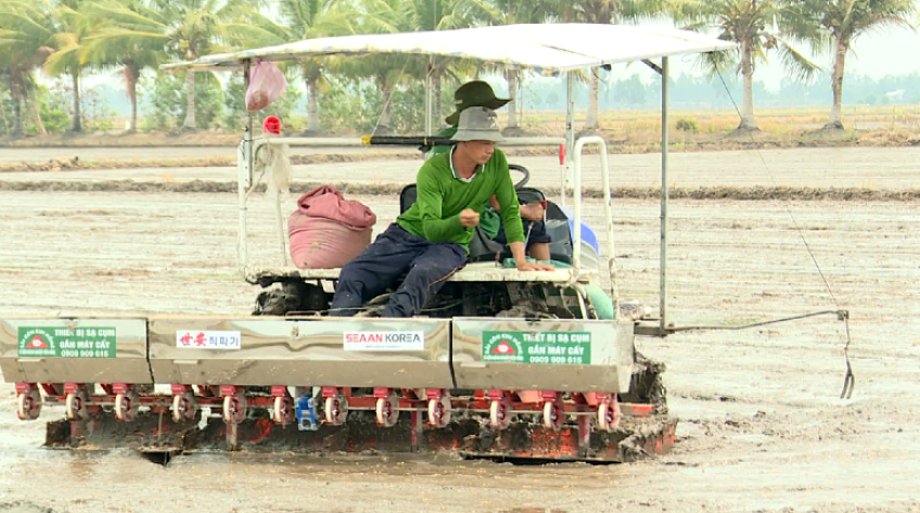 Thúc đẩy hữu cơ để tạo lập môi trường an toàn cho sếu