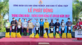 Định Yên Hội quán - Hội quán thứ 8 ở Lấp Vò, 117 của tỉnh Đồng Tháp