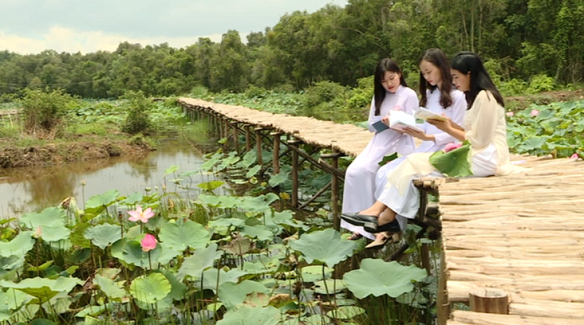 Sen trong phát triển du lịch