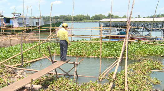 TP.Hồng Ngự: Dành cả một nhánh sông để bảo vệ thủy sản