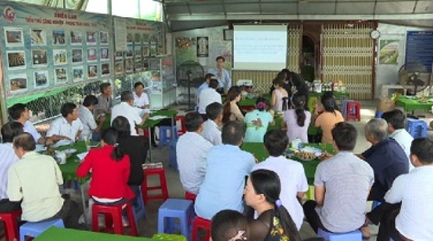 Kết nối tiêu thụ nông sản Đồng Tháp với hệ thống Sài Gòn Co.op