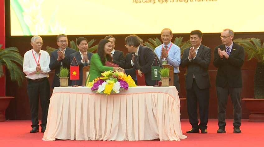 Khoa học công nghệ và đổi mới cho ngành lúa gạo