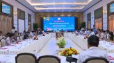 Trồng cây phủ xanh biên giới