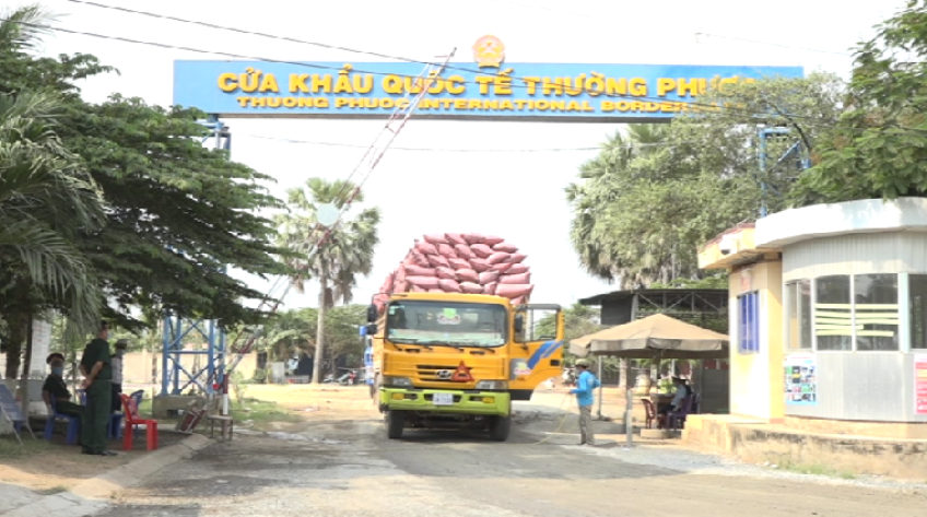 Vận chuyển lúa từ Campuchia về phải đảm bảo phòng, chống dịch