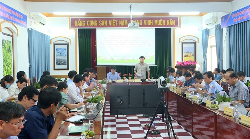 Khuyến khích mở rộng diện tích liền kề tham gia Đề án 1 triệu ha lúa chất lượng cao