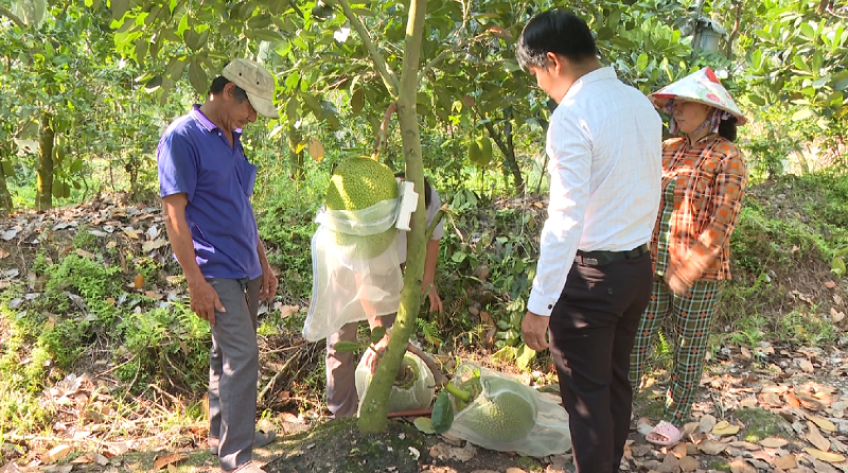 H.Lấp Vò: Đẩy mạnh các giải pháp thoát nghèo bền vững