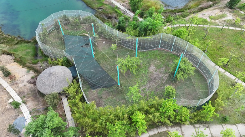 Vườn quốc gia Tràm Chim sẵn sàng đón đàn sếu trở về