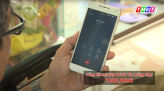 Tiềm năng phát triển cây tre