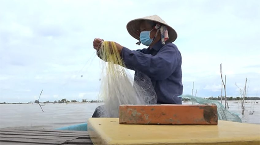 Những mẻ cá mùa nước nổi