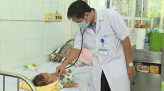 Vườn ổi bị bệnh chết nhát