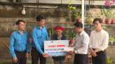 Vườn ổi bị bệnh chết nhát