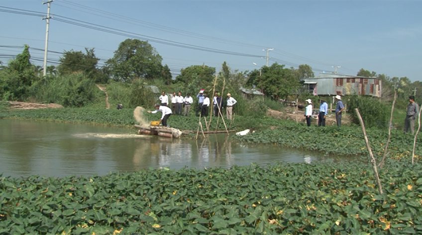 Mô hình sinh kế mùa lũ: Cần chủ động tìm đầu ra, tiến tới xây dựng thương hiệu