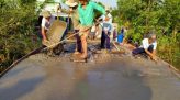 Lúa đen trồng thử nghiệm ở H.Cao Lãnh đã được thu hoạch