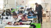 Tháp Mười nỗ lực xây dựng nông thôn mới nâng cao