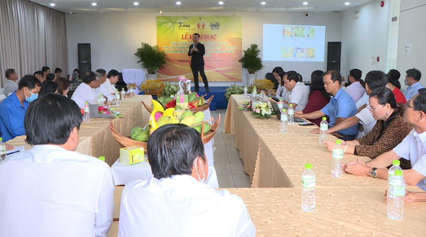 Đang diễn ra Tuần lễ xoài Cao Lãnh và trái cây chủ lực trên sàn thương mại điện tử