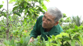 Triển khai sâu rộng đến đảng viên, quần chúng về phòng chống tham nhũng