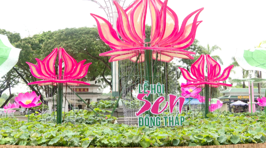 Sẵn sàng cho Lễ hội Sen Đồng Tháp