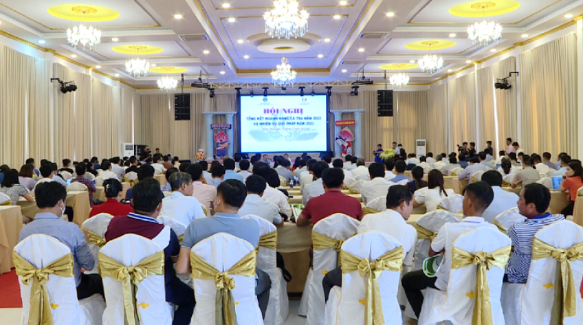 Kim ngạch xuất khẩu cá tra ước đạt hơn 2,4 tỷ USD trong năm 2022