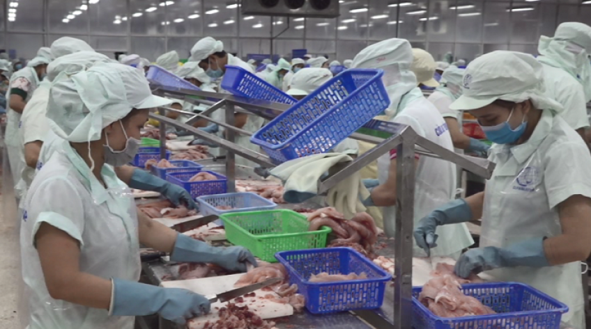 Doanh nghiệp Đồng Tháp khởi động đầu năm Tân Sửu