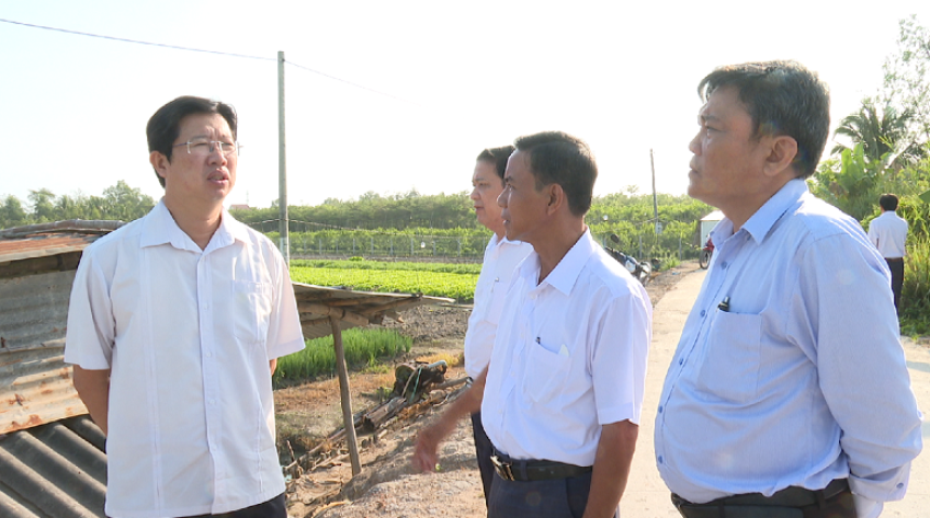 Tiếp tục hỗ trợ đầu tư hạ tầng, phát triển vùng chuyên canh màu Tân Bình, Châu Thành