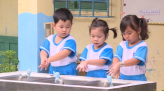 Làm gì để giữ sếu?