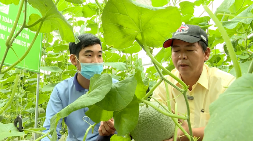 Sức trẻ trong hợp tác xã nông nghiệp