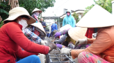 Theo chân đội xung kích diệt lăng quăng