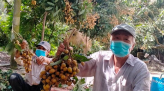 Cua Cà Mau ế ẩm, rớt giá mạnh
